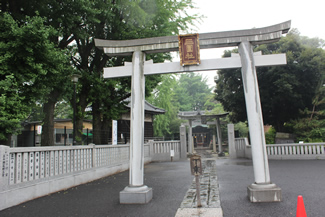 活動紹介