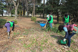 一面落ち葉に覆われていた、作業開始時の花壇の様子。