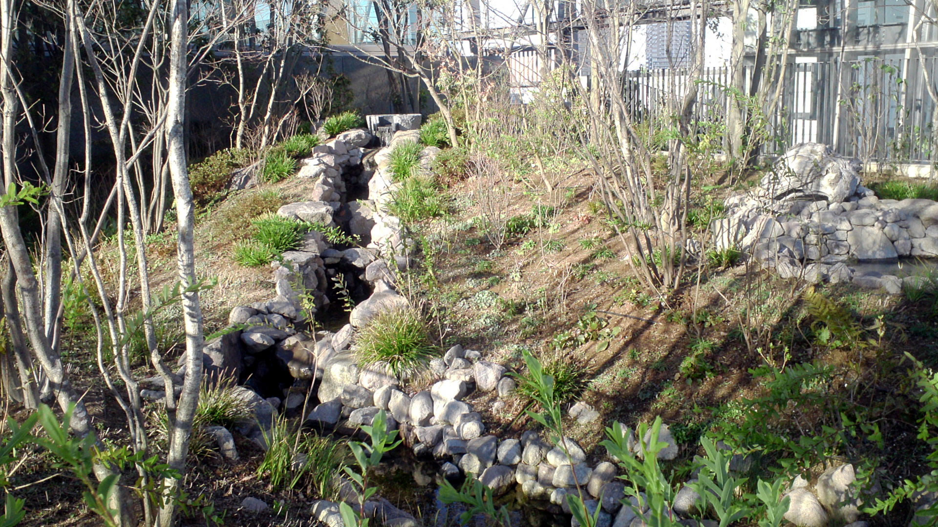 豊島区新庁舎屋上に開設した「豊島の森」。