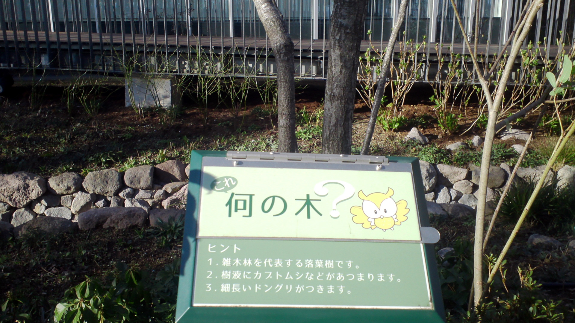 クイズ仕立てで木の名前を問うネームプレート。樹相や樹皮などをじっくりとみて考えてもらうための仕掛けだ。