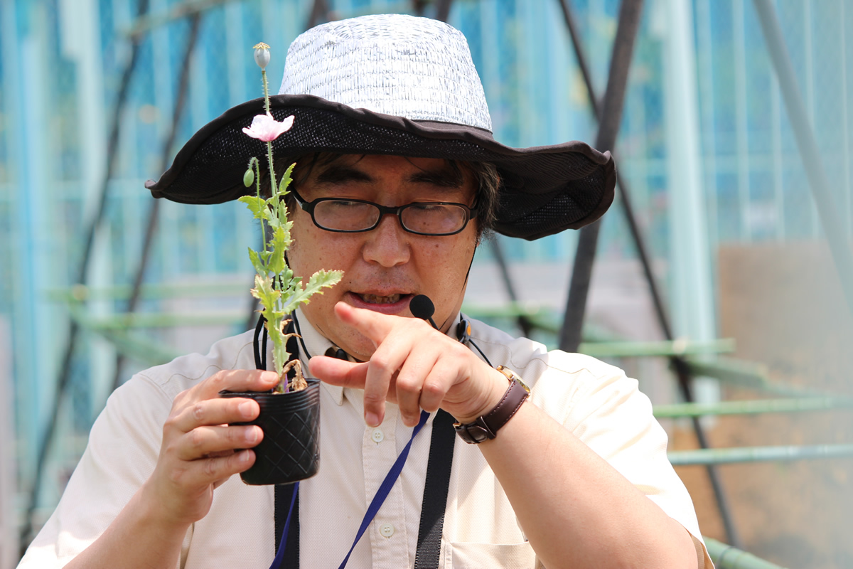 ケシのミニ講座で開設する薬用植物園主任研究員の中村耕さん。