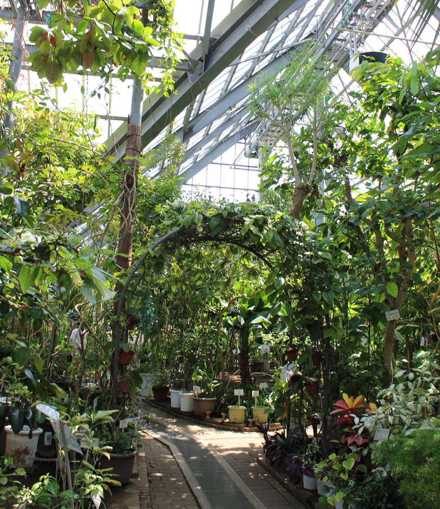 正門から望む東京都薬用植物園。入場無料、特に来園手続等は必要なく、自由に入って散策を楽しむことができる。三角屋根のガラス栽培室は温室と冷房室に分かれて、それぞれの気候に合った植物を栽培している。