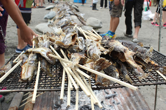 こんがりと焼き上がった串焼き魚。まずは1人1串ずつを手渡していく。