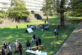 橋の上から眼下に望むヤギ除草地。9月から約2か月間、ヤギ2頭がこのエリアの除草を担ってきた。