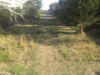 ヤギ除草実証実験後（UR都市機構提供）