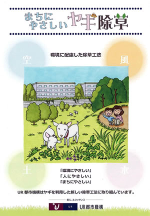 住民にヤギのことを知ってもらうため、パンフレットなどを作って配布した。ヤギを放した草地の上にかかる「三の橋」の欄干にも、パンフレットの抜粋を貼り出して、ヤギについて知ってもらうための情報提供を行っている。