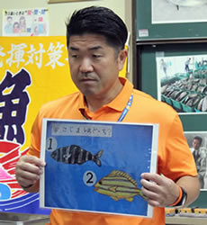 愛南町の幼稚園の子どもたちが作ったというクイズ。さすが海辺の町、幼稚園児にしてはリアルな魚の絵だ。