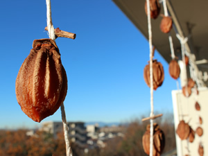 活動紹介