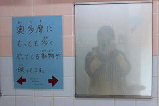 「奥多摩にもっとも多くやってくる動物が映ってます」（山のふるさと村のトイレにて）。