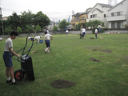 体育館跡地にできた芝生地の管理も、地球環境部に任された活動の一つ。いわゆる校庭芝生ではないので、冬は養生シートを張って養生しているため、芝の状態はよい。学校芝生専門のNPOシニアSOHO普及サロン・三鷹の方が指導に来てくれている。