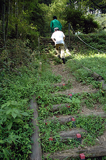 深沢地区では「山抱きの大カシ」につながる散策路も定期的に整備している。高齢化と人手不足が深刻なこの地域では、友の会のメンバーがかかわることで、散策路が維持できるようになった。