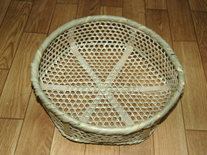 活動紹介