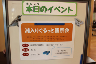 毎月第2日曜日の午後に開催される「潮入りぐるっと観察会」