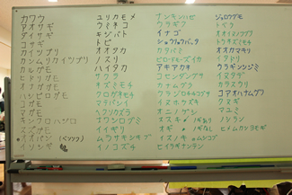 この日観察できた動植物がホワイトボード一面に列挙された。