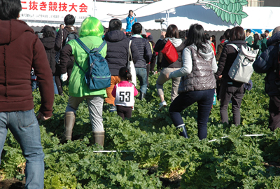 競技が始まる前に、準備体操。この競技会のためにつくられた「練馬大根体操」で体をほぐす。