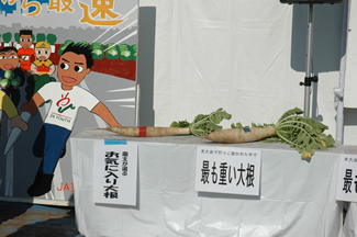 記録の部の「農園主が選んだお気に入りの大根」（左）と、最も重い大根（右）。同じ畑で同じように育てても形や大きさにばらつきが出るのは、在来種ならではの性質。