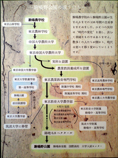 自然観察舎内に掲示されている「駒場野公園の成り立ち」