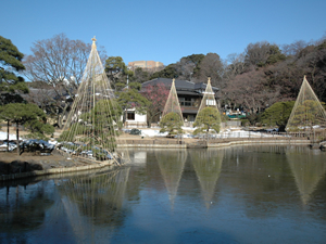 活動紹介