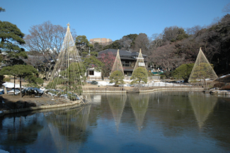 野鳥観察会の舞台となった肥後細川庭園。