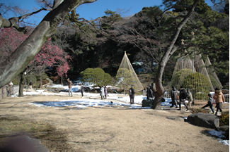 ウメが咲き始めた庭園で、思い思いに生きもの観察を楽しむ参加者たち。