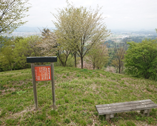 めぐろエコの森