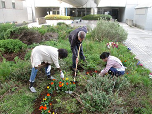 花のあるまち推進事業