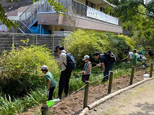 姿見の池アメリカザリガニ捕獲大作戦