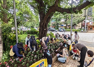 大規模な花植えを実施