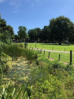 緑環境保全及び啓発活動