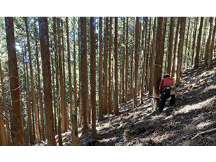 森林環境整備事業