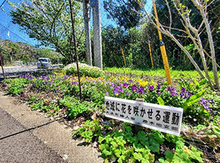 地域に花を咲かせる運動