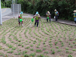 太陽光発電設備整備事業