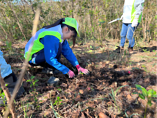 三宅島緑化プロジェクト支援事業