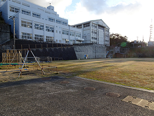 御蔵島小中学校校庭芝生再生事業