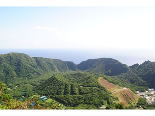 池之沢地区森林保全事業