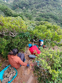 自然環境に配慮した遊歩道整備事業